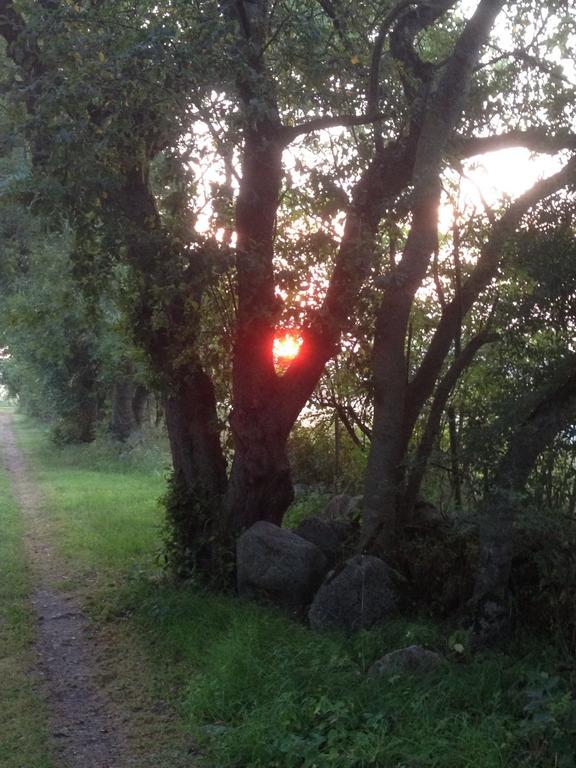 Paradiset Oestra Oeland Nedra Sandby Esterno foto